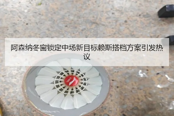 阿森纳冬窗锁定中场新目标赖斯搭档方案引发热议